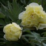 新时代娱乐如何推动地方经济的多元发展 2hzmwjet6