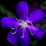 新时代娱乐的未来:我们将如何迎接新变革 siza9